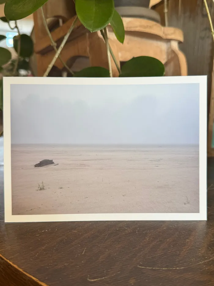 Fog and Log Card Rita Chu Photography Consignment Necklaces